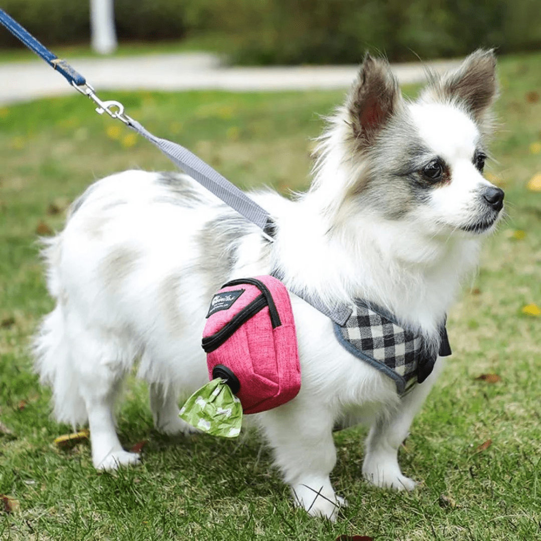 Bolsa para Pasear Mascotas