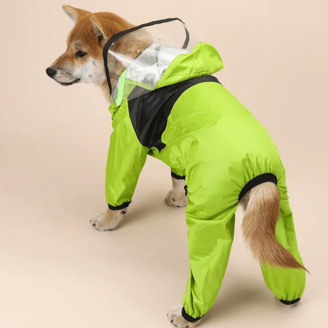 Chubasquero Impermeable